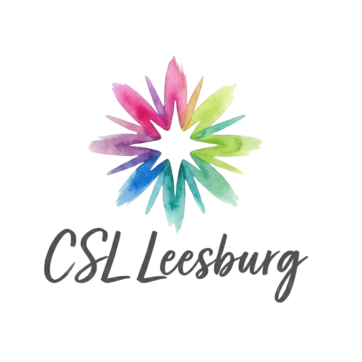 CSL Leesburg